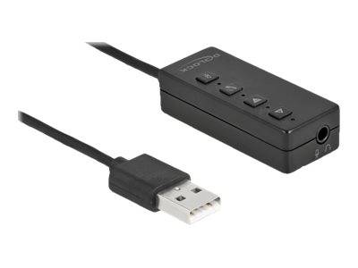 Delock - Soundkarte - 16-Bit - 48 kHz - 100 dB S/N-0
