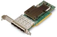 Broadcom NetXtreme E-Series P425G - Netzwerkadapter-1