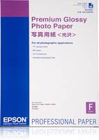 Epson Premium Glossy Photo Paper - Glänzend - A2 (420 x 594 mm) - 25 Blatt Fotop-5