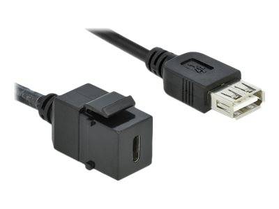 DeLOCK Keystone module - Modulare Eingabe - USB Typ C-0