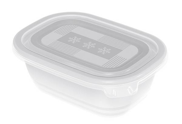 Rotho Freeze 4er-Set Gefrierboxen 0,5l mit Deckel, Kunststoff (PP) BPA-frei, transparent, 4 x