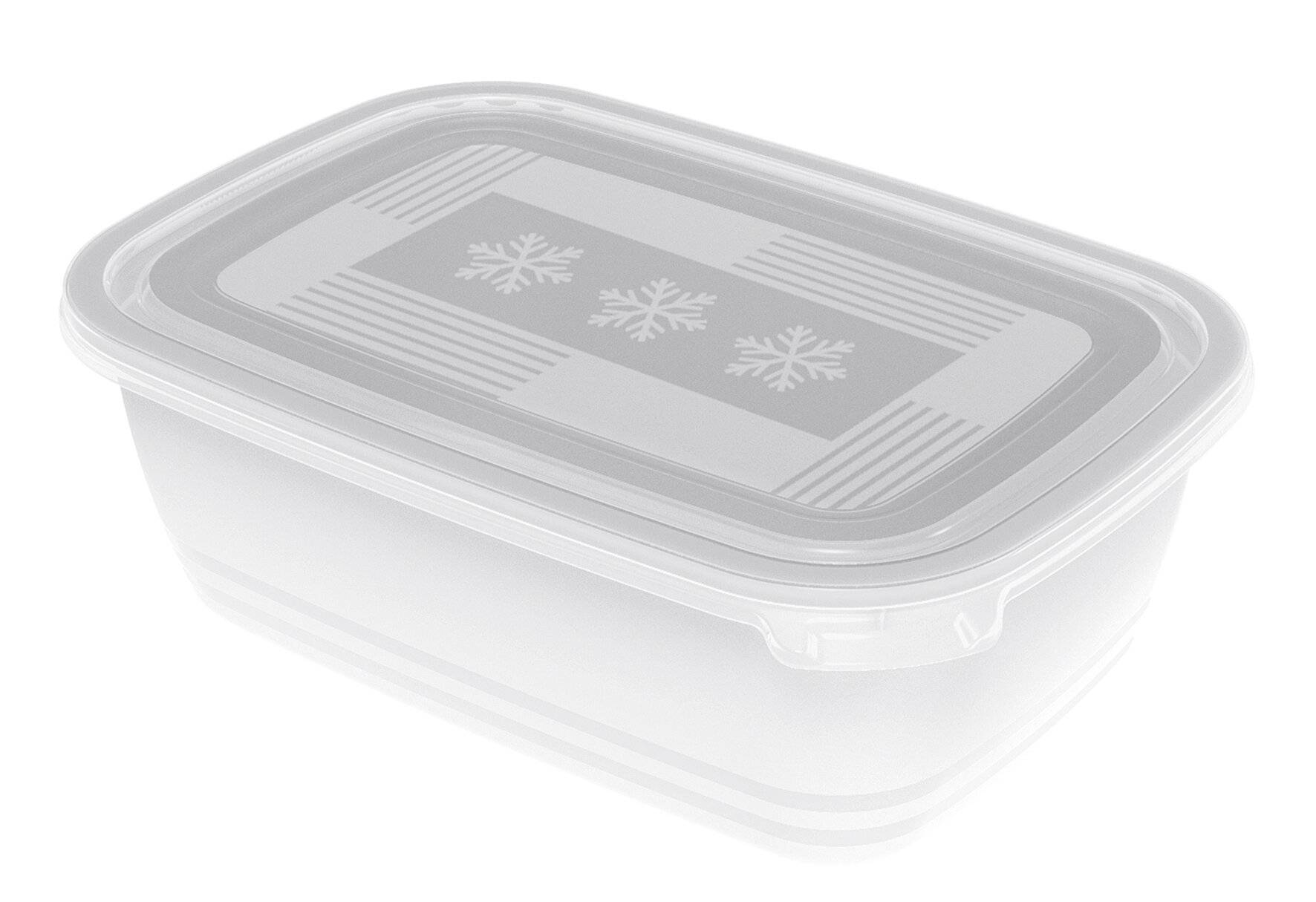 Rotho Freeze 2er-Set Gefrierdosen 1,9l mit Deckel, Kunststoff (PP) BPA-frei, transparent, 2 x-0