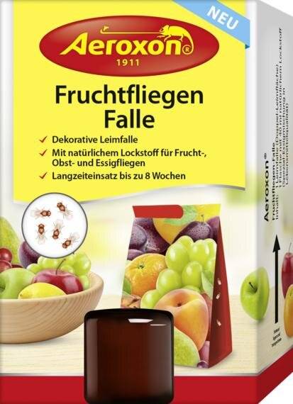 Aeroxon Fruchtfliegen-Falle-1