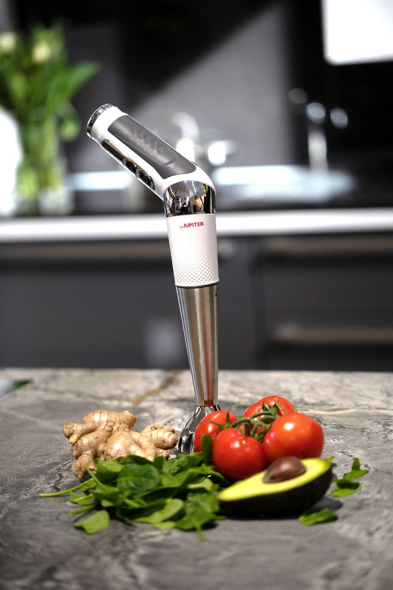 JUPITER 828.001 Stabmixer 150Watt Akkubetrieb weiß/silber/grau-1