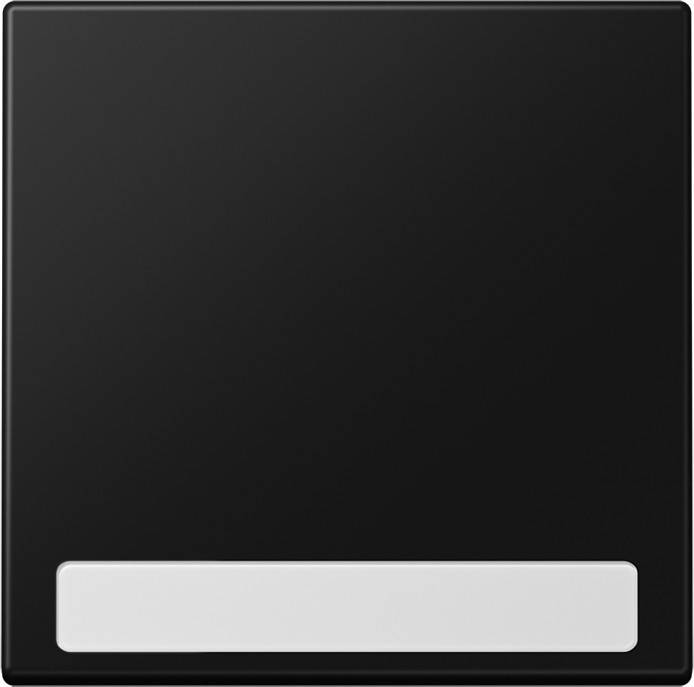 Jung Wippe LS 990 NA SWM LS990NASWM Kunststoff-0