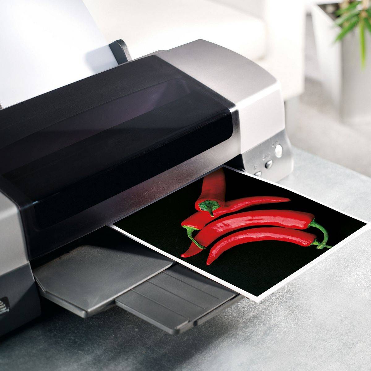 SIGEL Inkjet Fotopapier Ultra, hochglänzend, 190 g/m², A4, 50 Blatt-4