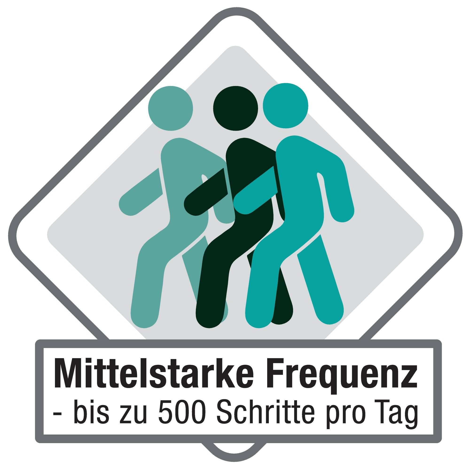 Schmutzfangmatte advantage 60x90cm grau - Artikel: 187223180-2