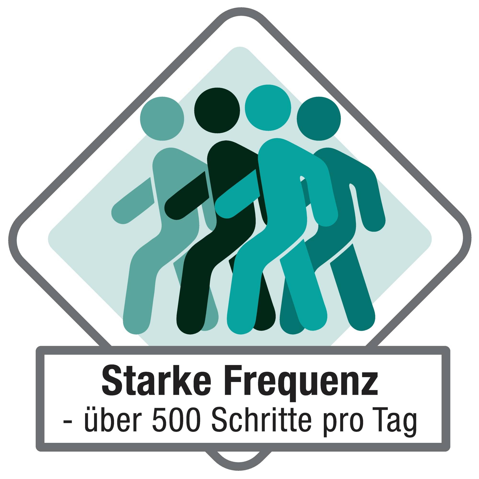 Schmutzfangmatte ultimat innen 60x90cm grau - Artikel: 187244580-2