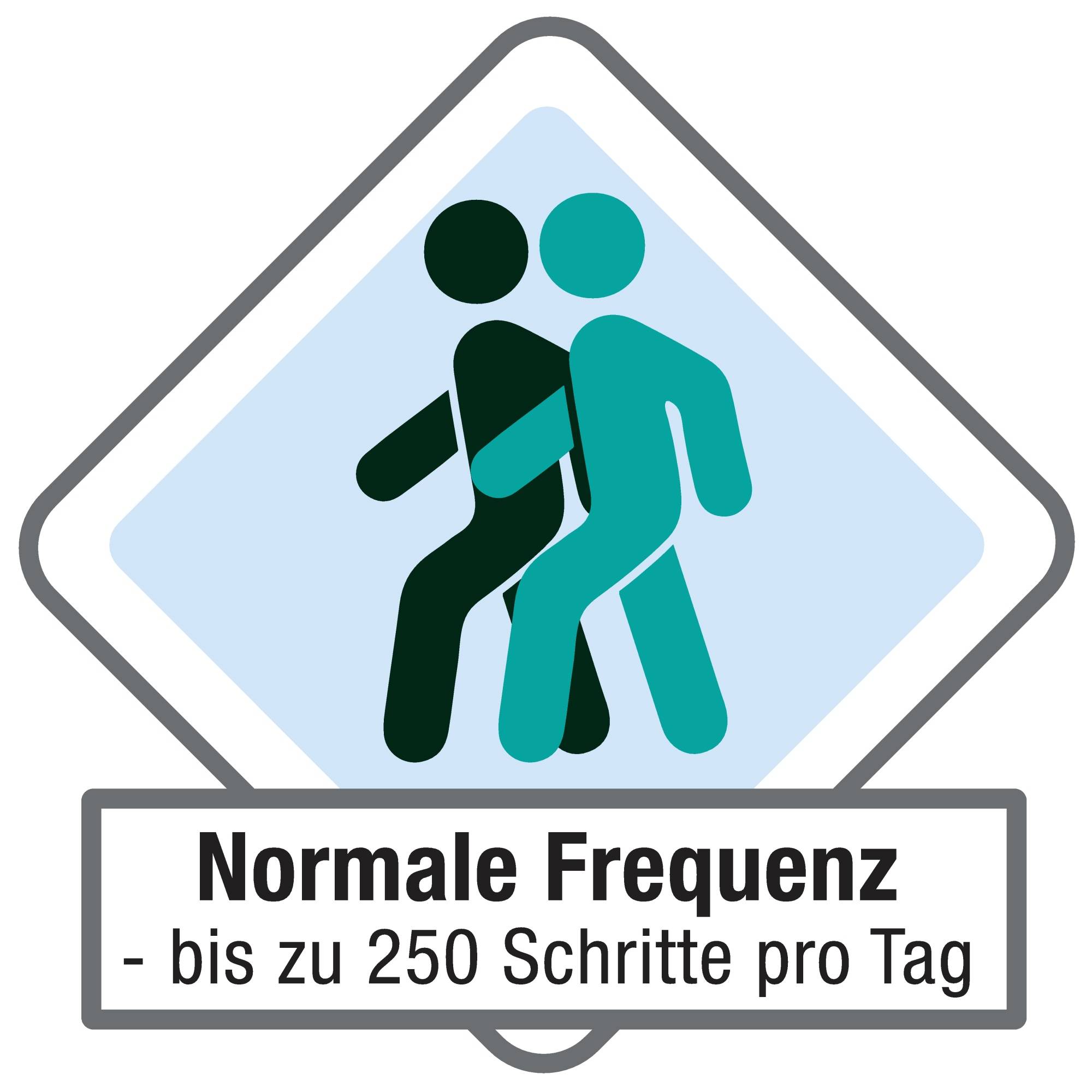 Schmutzfangmatte valuemat 60x80cm grau-2