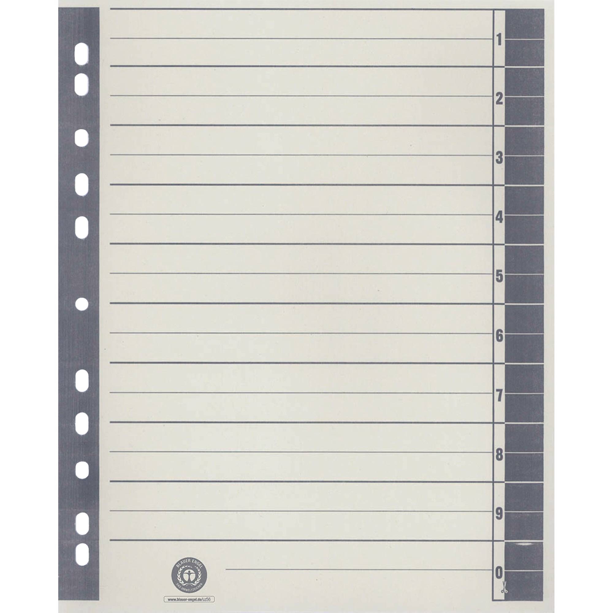 Trennblatt RC A4 ch/gr 100St-0
