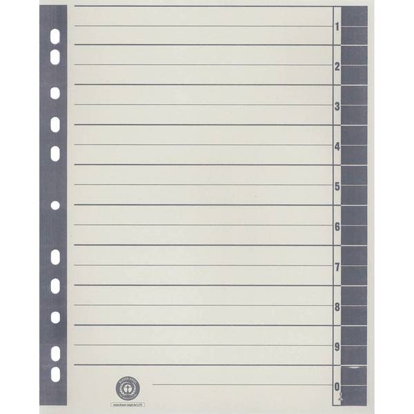 Trennblatt  RC A4 ch/gr 100St