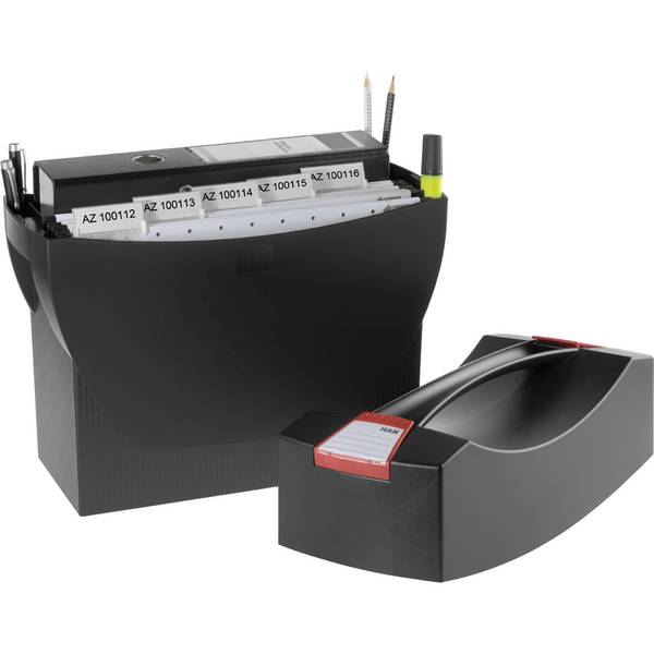 HAN Hängebox SWING 39,7x34,7x15,4cm Deckel sw 1901-13D
