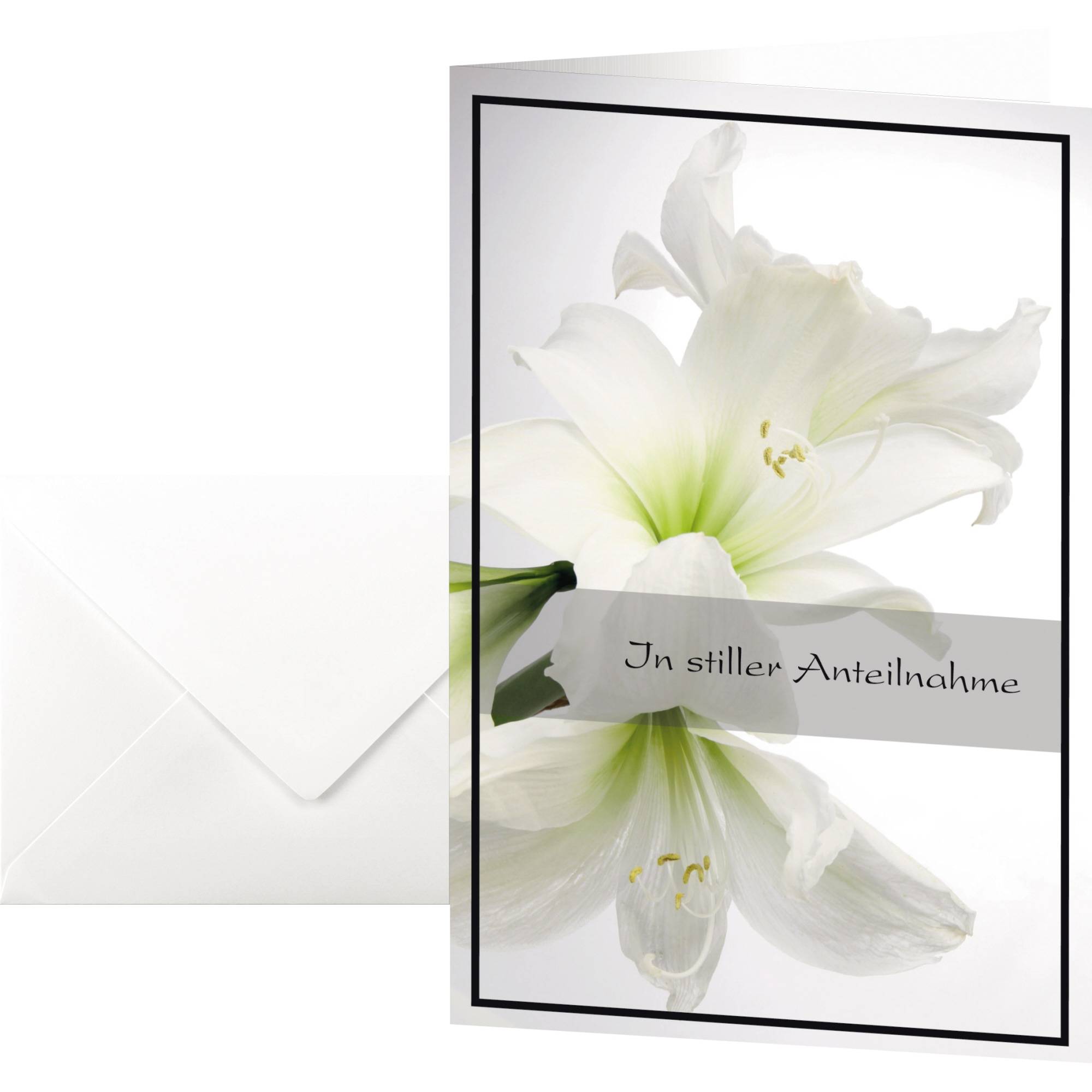 Trauerkarte Amaryllis 11,5x17cm 10St +Umschläge