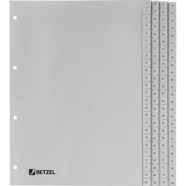 Register DIN A4 1-100 100-teilig PP grau