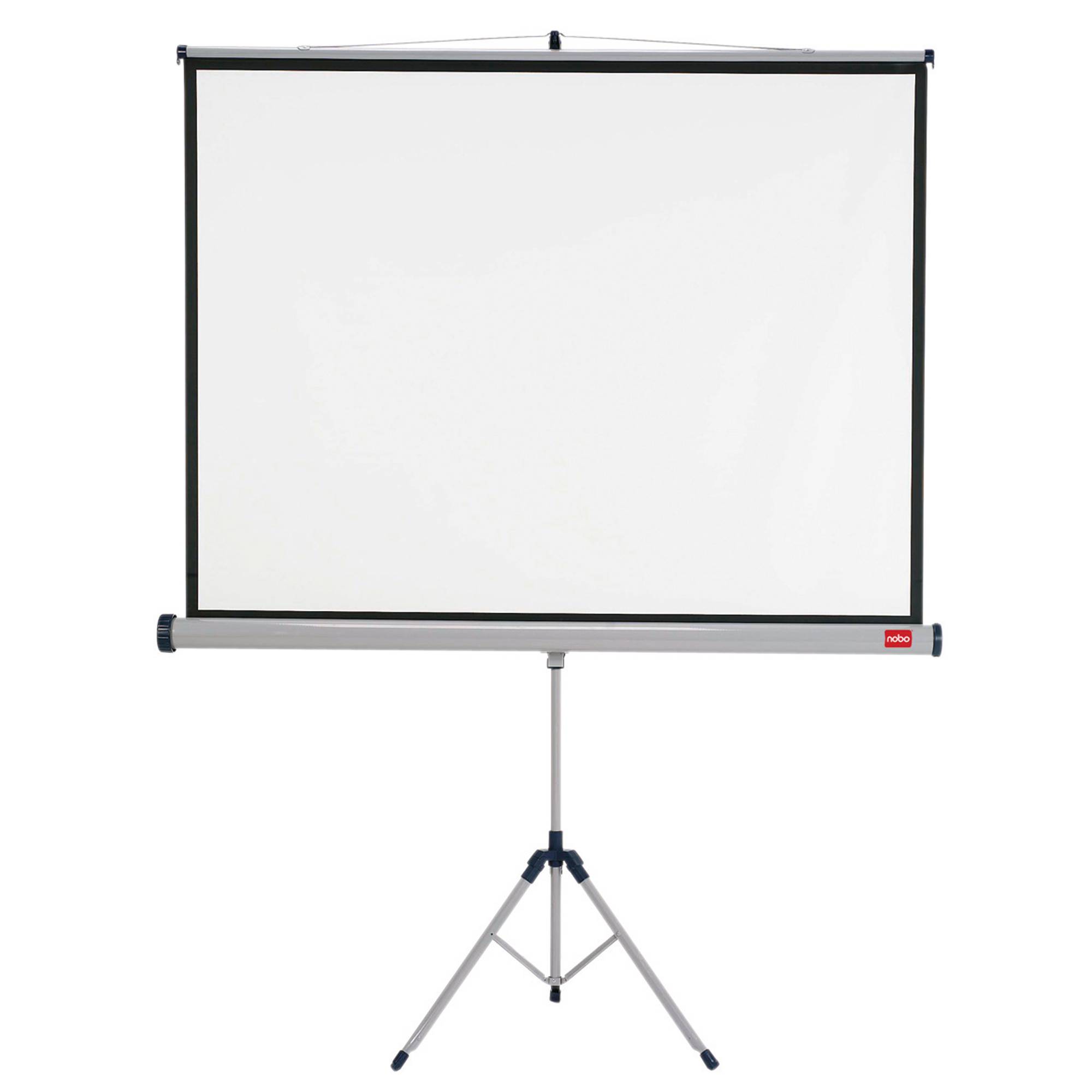 Stativleinwand 2000x1310mm hellgrau-0