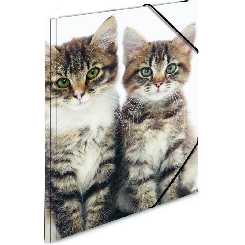 Sammelmappe A4 PP Katzen-0
