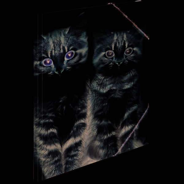Sammelmappe A4 PP Katzen