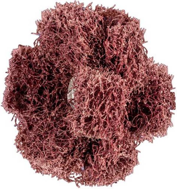 Schleifstern Polinox T 38-3 A 80 Pferd - Artikel: 4007220899229