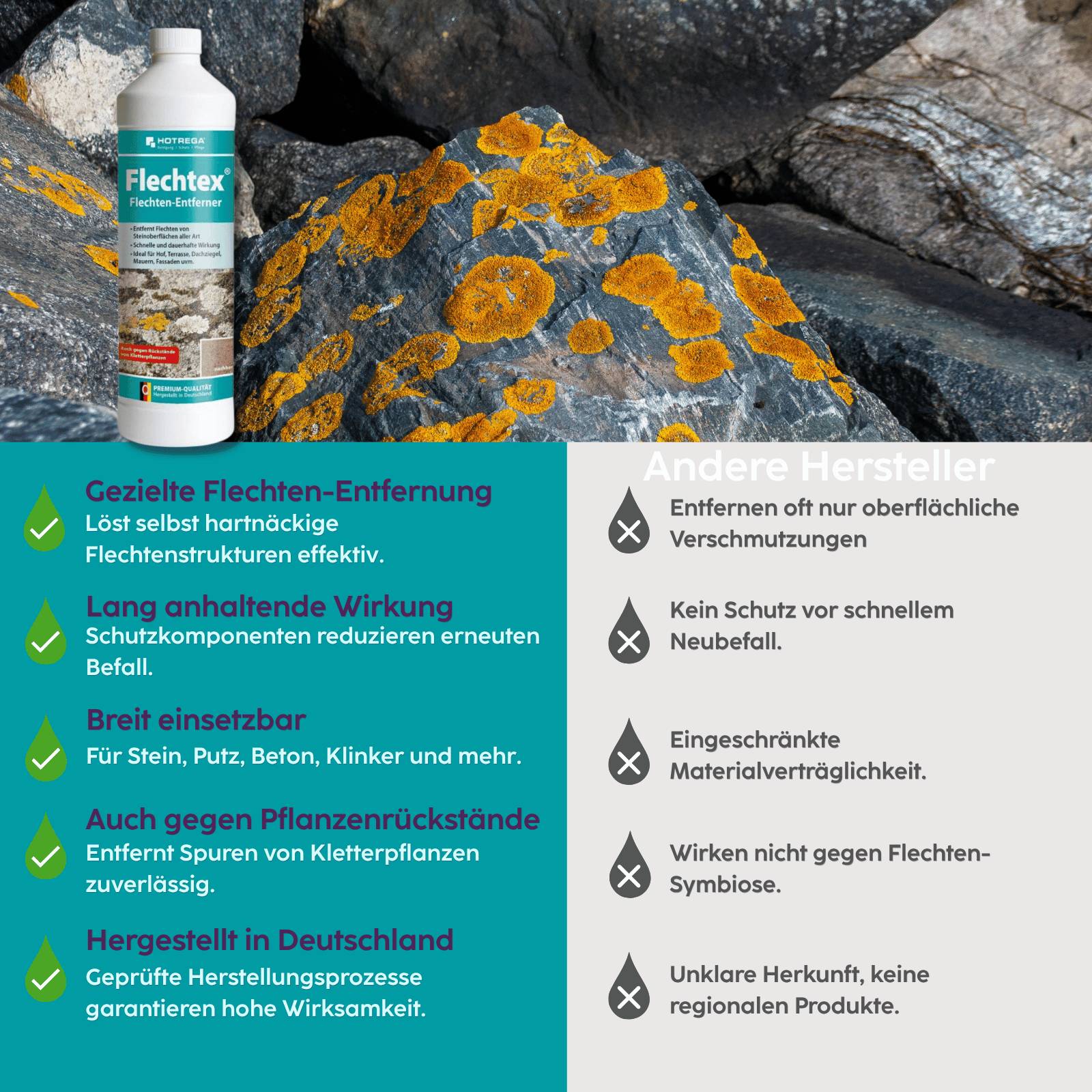 HOTREGA Flechtex 1L + Grünbelagentferner 1:10 1L-1