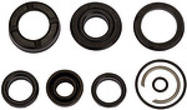 Riegler 235.19-M Seal set (wear part), for compact cyl, Piston Ø50, PU seal P\n: 106174