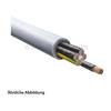 LAPP ÖLFLEX Classic 110 5G2,5mm² AD 10,0mm Nennspannung Uo/U 300V/500V - 1 Meter