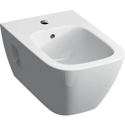 GE Renova Plan Wandbidet teilgeschlossene Form mit Überlauf, weiß-0