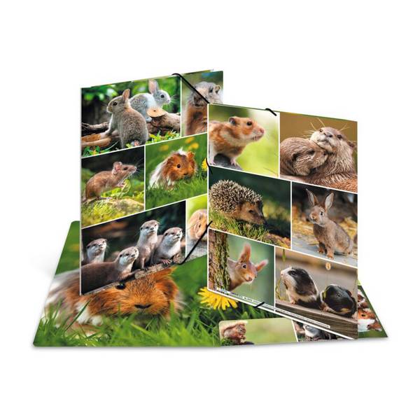 Sammelmappen A4 Karton Nagetiere