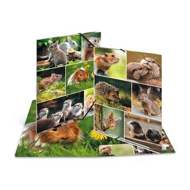Sammelmappen A4 Karton Nagetiere