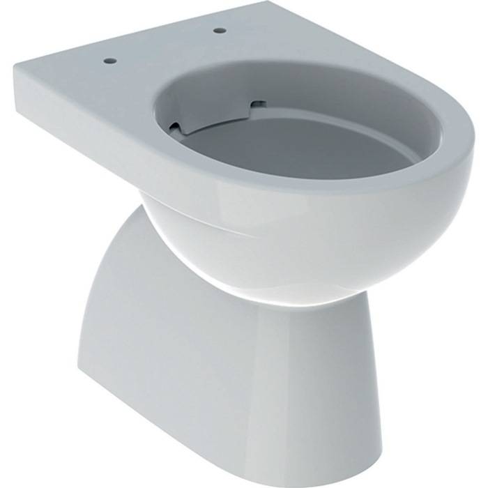 GE Renova Stand-WC Tiefspüler, Abg.verti teilgeschl.Form, Rimfree, weiß-0