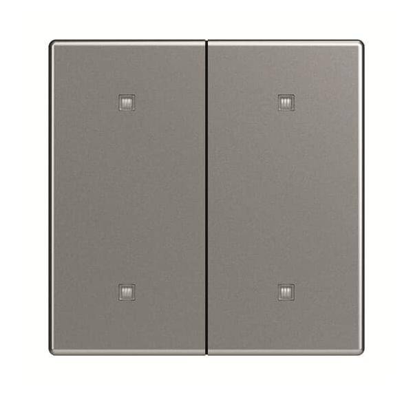 Busch-Jaeger Wippe 2-fach 2570-20-866
