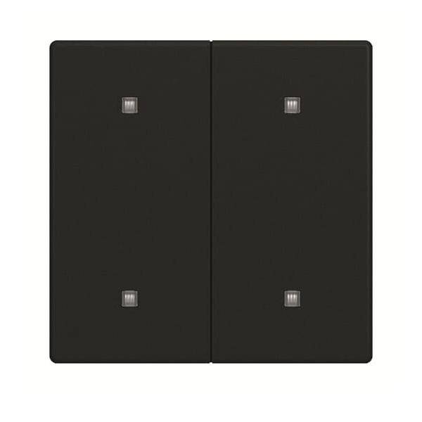 Busch-Jaeger Wippe 2-fach 2570-20-885-0