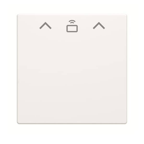Busch-Jaeger Zent.Sch.Cardschalter RFID 1792-0