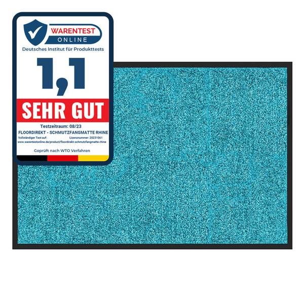FLOORDIREKT Fußmatte Rhine - Schmutzfangmatte für Innen- & Außenbereiche - Türkis - 40 x 60 cm