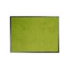 FLOORDIREKT Schmutzfangmatte Performa - Hohe Absorptionsfähigkeit - 60 x 90 cm - Grün