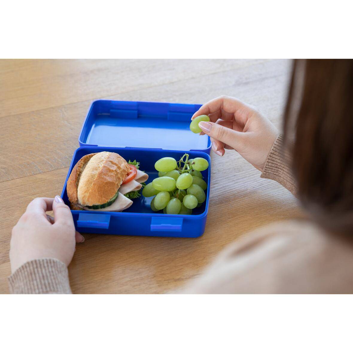 Vorratsdose "Dinner-Box", standard-rot-3