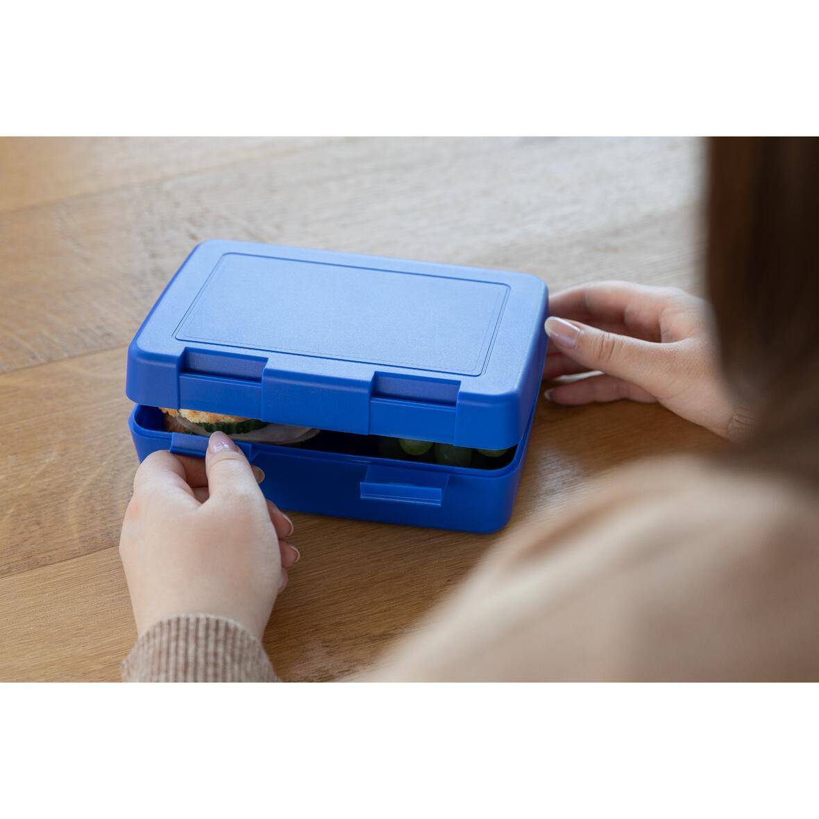Vorratsdose "Dinner-Box", standard-rot-4
