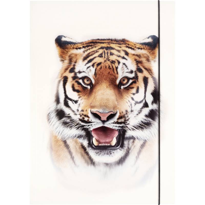folia Zeichnungsmappe BASIC "Roaring Tiger", Karton, DIN A3-0
