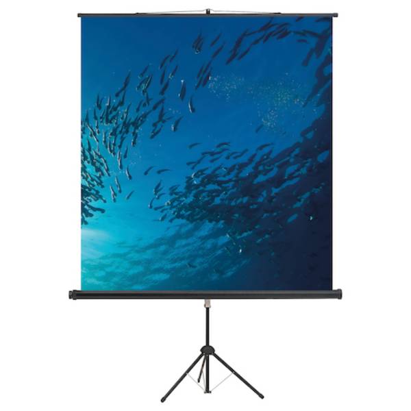 magnetoplan Stativ-Leinwand Standard, 1500 x 1500 mm