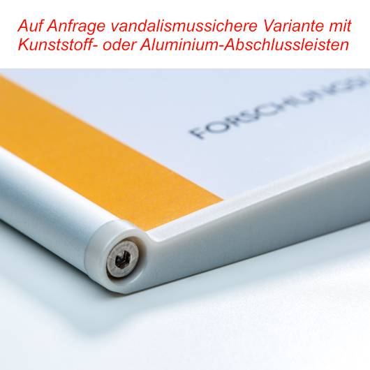 Türschild PRIMUS mit Abdeckscheibe, Hochformat DIN A3, aus Aluminium, silber eloxiert, 310x420 mm-2
