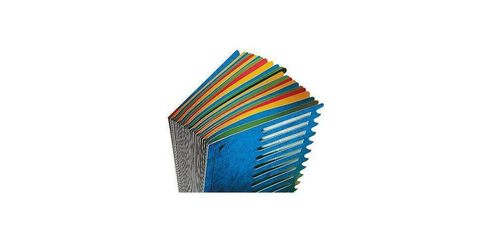 Ordnungsmappe Deskorganizer Color 12Fächer schwarz-1