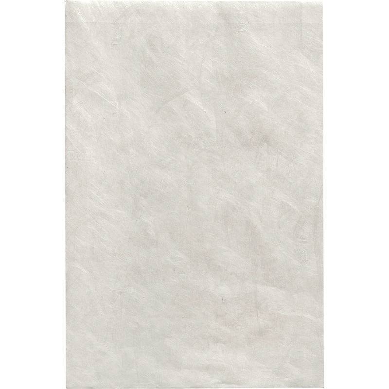 Tyvek Versandtasche DIN B4, haftklebend, weiß, ohne Fenster, Pack: 20 Stück