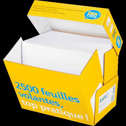 Antalis Kopierpapier Everyday Printing DIN A4 80 g/qm 2.500 Blatt Maxi-Box - Nor-1