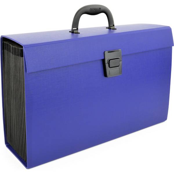 RAPESCO Fächertasche, DIN A4, 19 Fächer, blau (65800334)