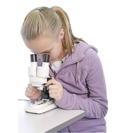 Kindermikroskope für den Einstieg ins Mikroskopieren