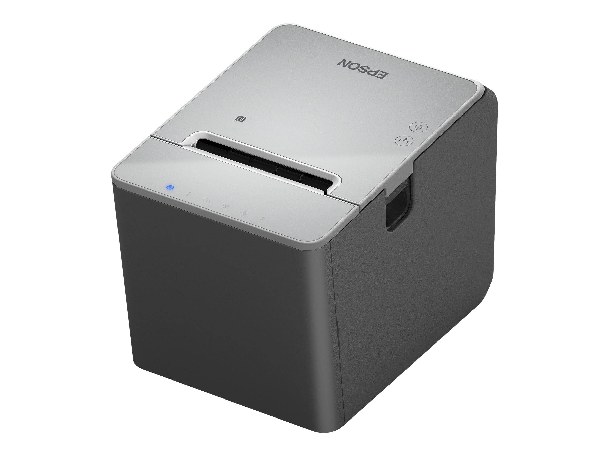 Epson TM L100 (121) - Belegdrucker - Thermozeile-2