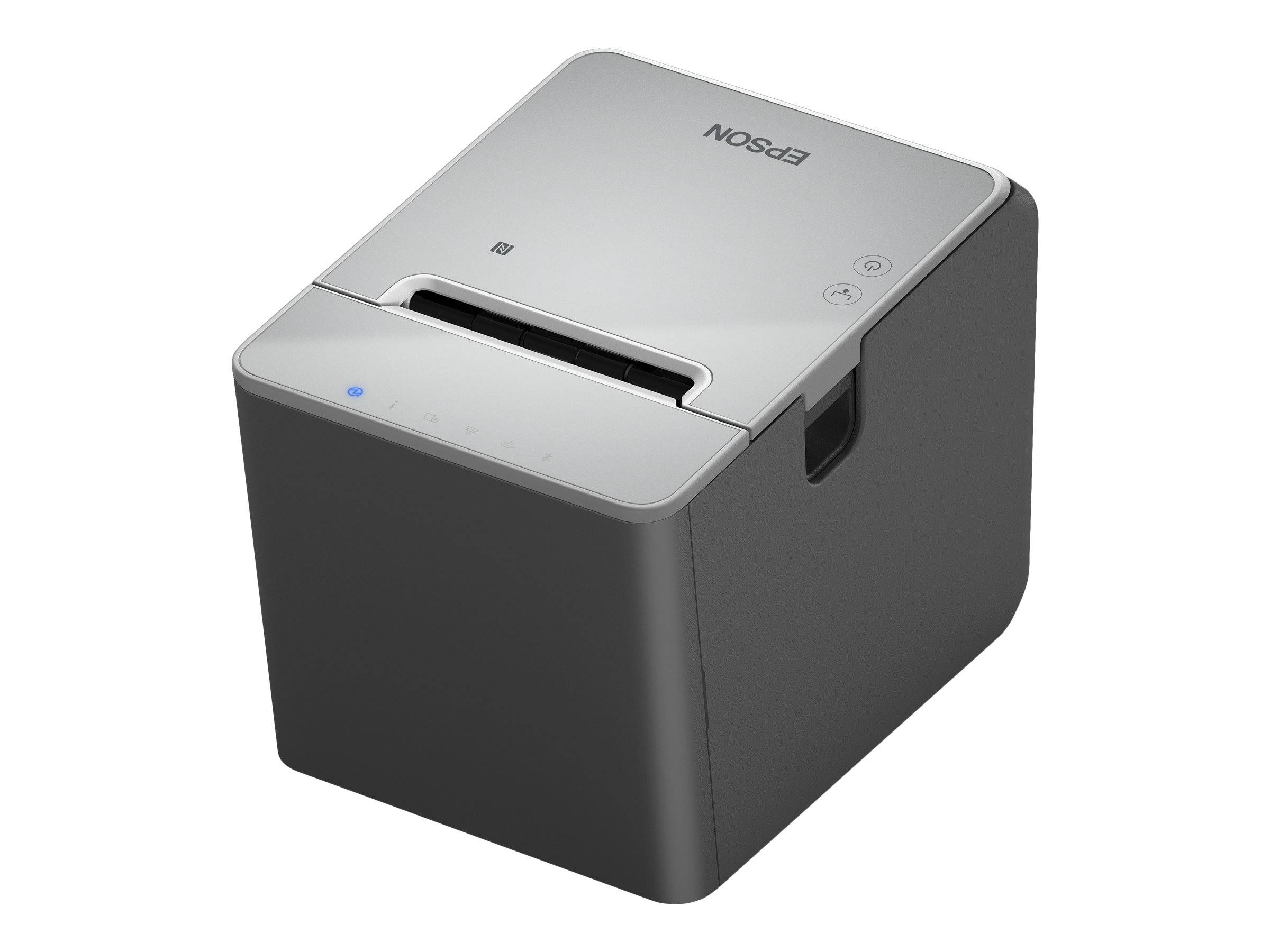 Epson TM L100 (111) - Belegdrucker - Thermozeile-3