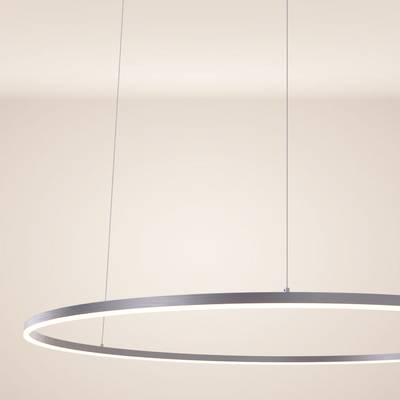 s.luce Ring 120 LED-Pendelleuchte direkt oder indirekt 5m Abhängung kaufen | Pendelleuchten