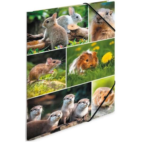 Sammelmappen A4 Karton Nagetiere-1