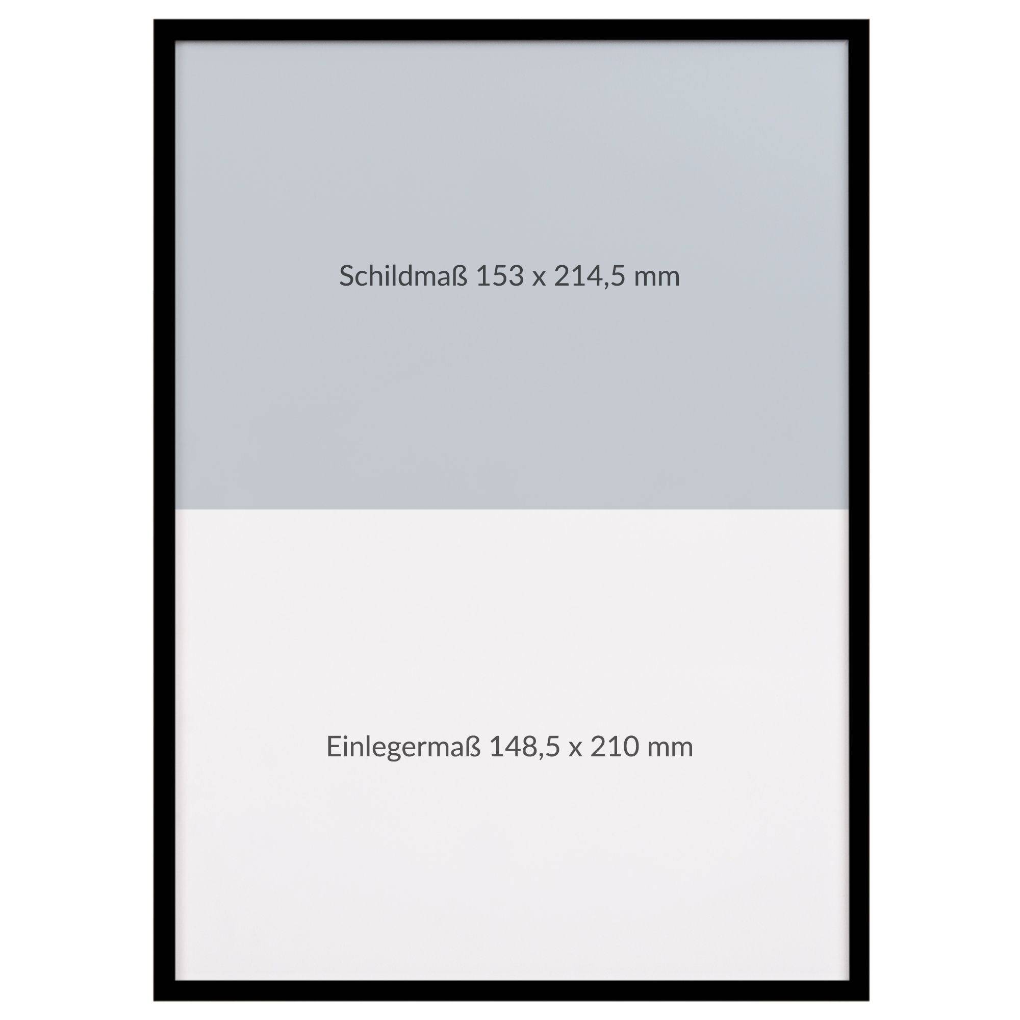 Türschild ALUSYST-6, Aluminium schwarz eloxiert, 153 x 214,5 x 6 mm, für Einleger 148,5 x 210 mm-2