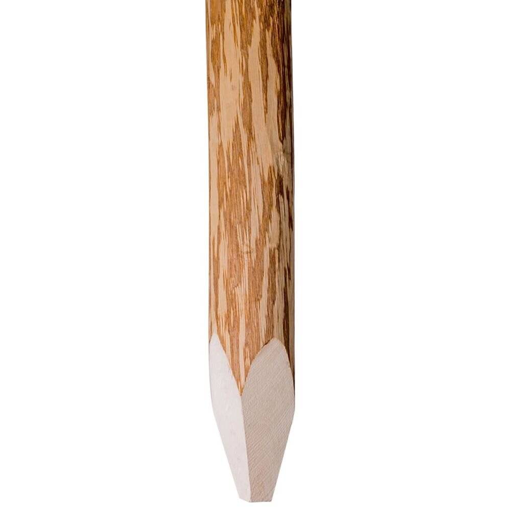 Angespitzter Holz-Zaunpfahl 4 Stk. Haselnussholz 120 cm-1